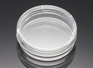 353001     易握型細(xì)胞培養(yǎng)皿35×10mm,標(biāo)準(zhǔn)TC  BD FALCON